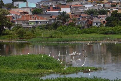 Comissão debate os 10 anos da encíclica “Laudato Si” sobre meio ambiente