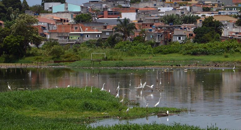 Comissão debate os 10 anos da encíclica “Laudato Si” sobre meio ambiente